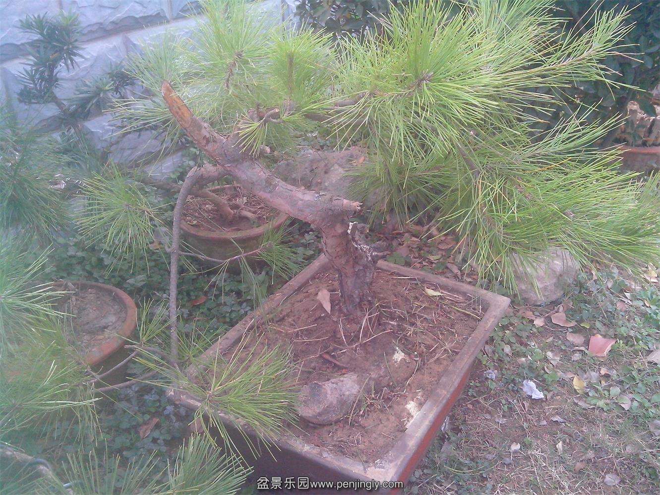 IMG20141113001.jpg
