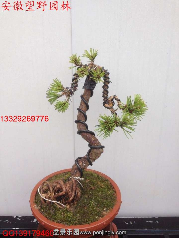 304D1530E0F0E6A4B45505D43A9BC9C0.jpg