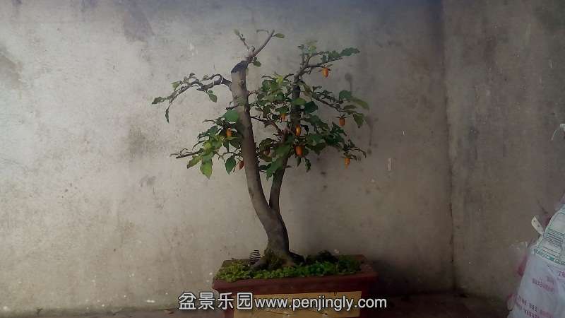 IMG_20141023_131747.jpg