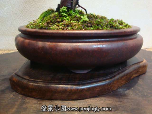 DSC09470.JPG