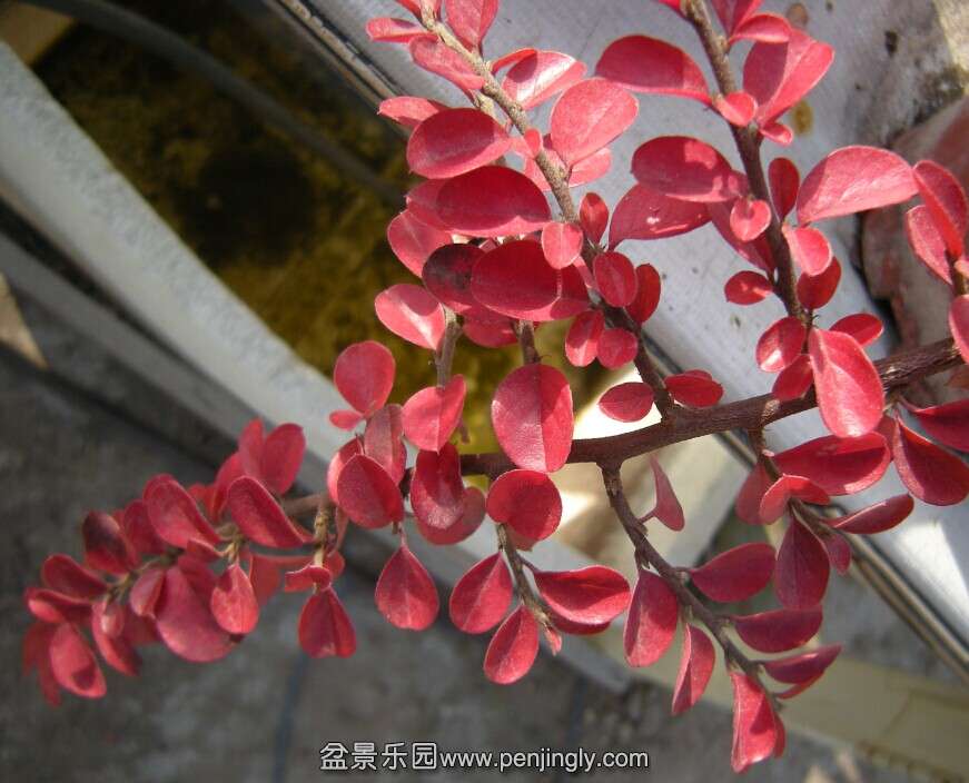 QQͼƬ20141115202556.jpg