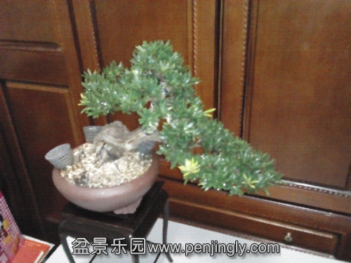 IMG_20141116_190325.jpg