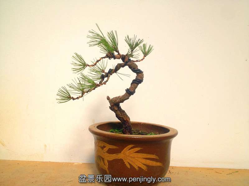QQͼƬ20141118215855.jpg