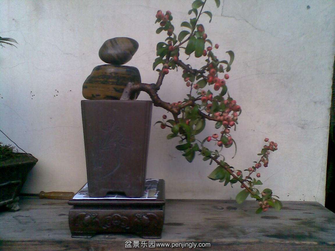 20141116(010).jpg