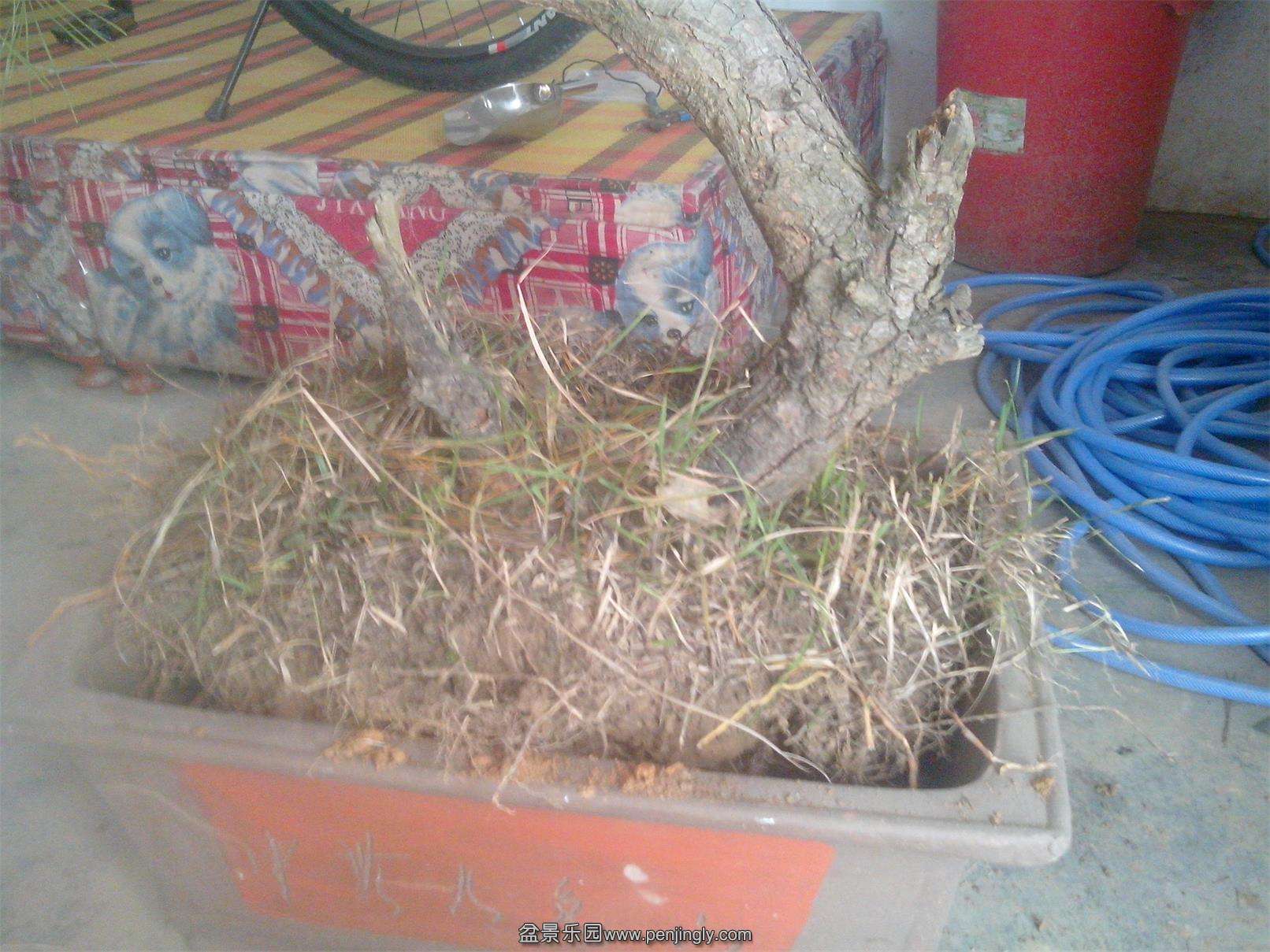 IMG20141119003.jpg