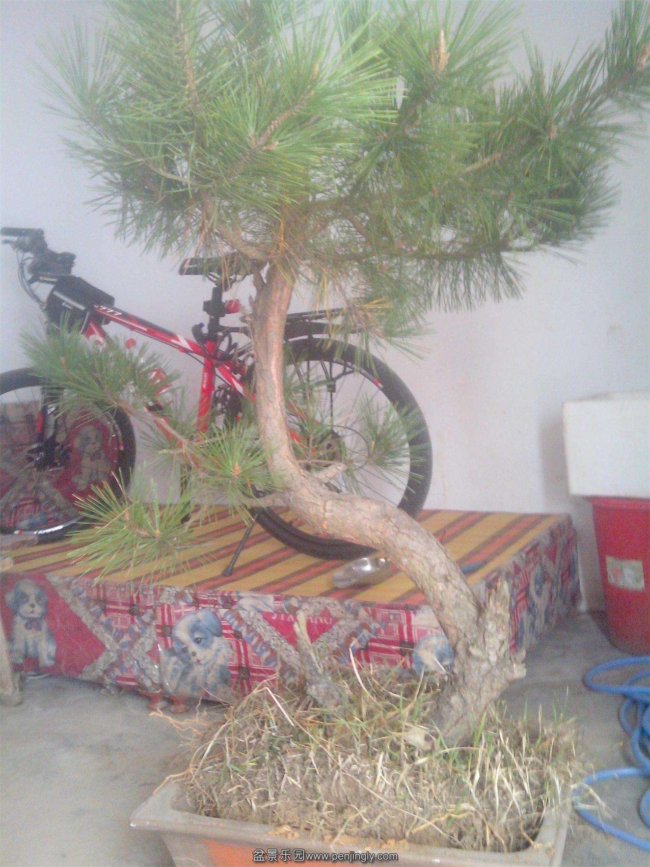 IMG20141119004.jpg