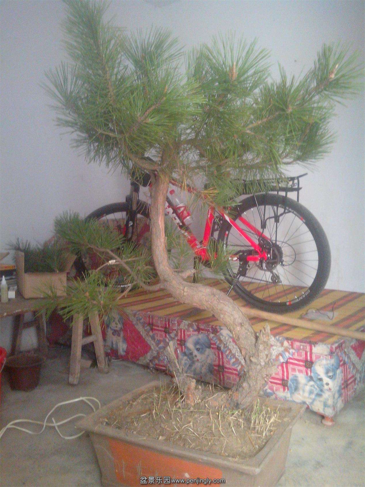 IMG20141119005.jpg