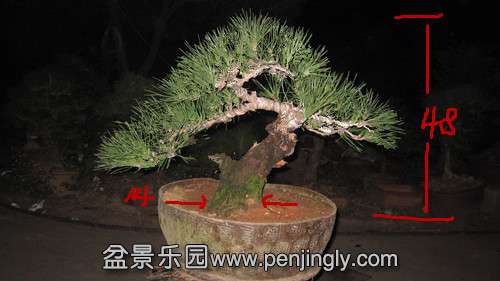 IMG_8110_.jpg