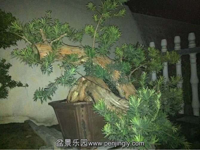 image.jpg