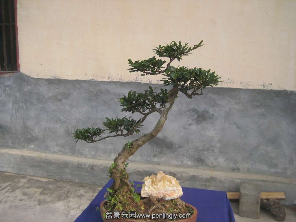 ڵ2