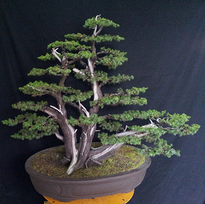 20141116_145306_1.jpg