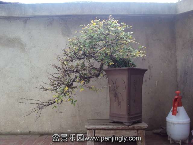 DSC04141.JPG