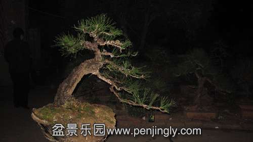 IMG_8116_.jpg