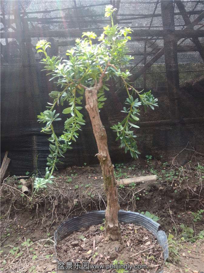 IMG20141123123425.jpg