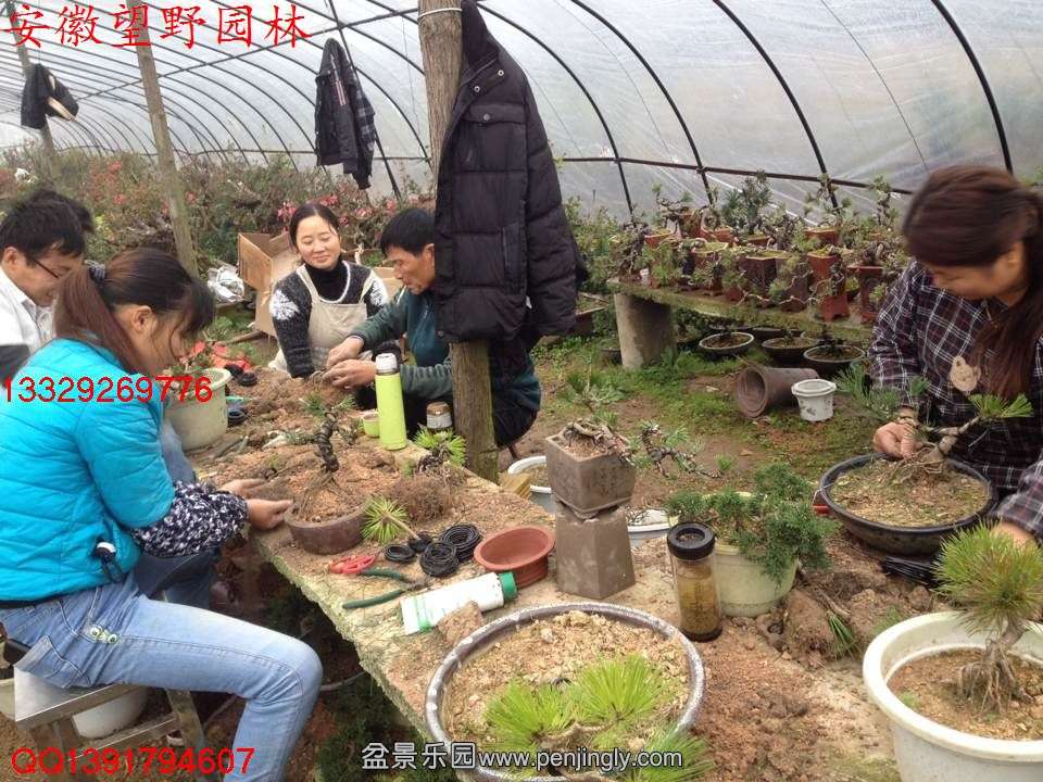 20C6BAC3550ADD7F6C03E819C9189C47.jpg