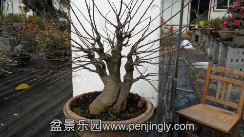 20141126_131528.jpg