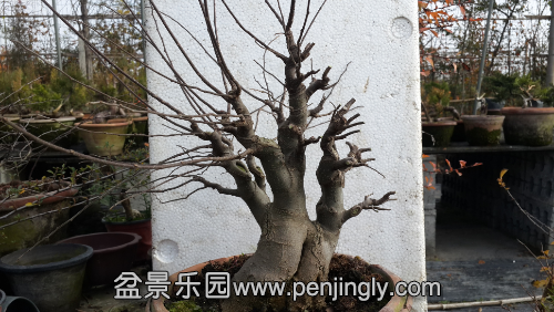 20141126_132349.jpg