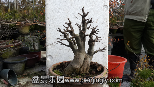 20141126_132909.jpg