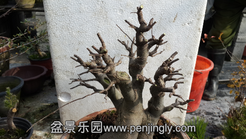 20141126_132927.jpg