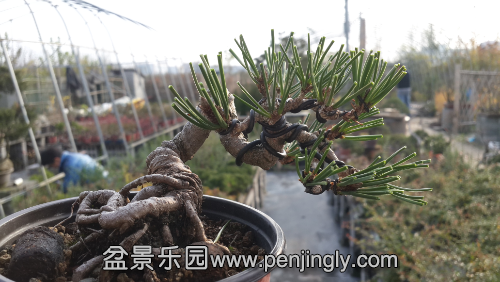 20141126_151358.jpg