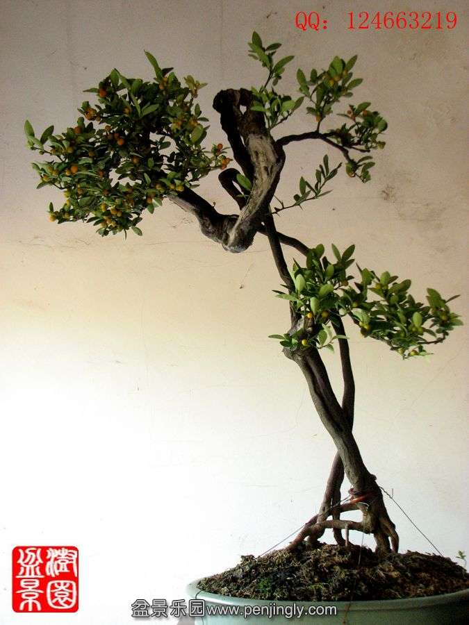 IMG_0486_.jpg