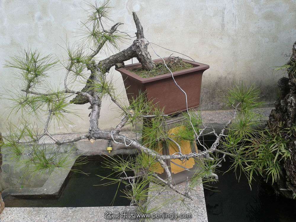 20140303_134704.jpg