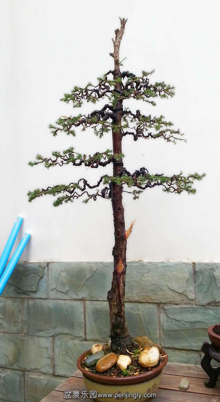20141112_124244.jpg