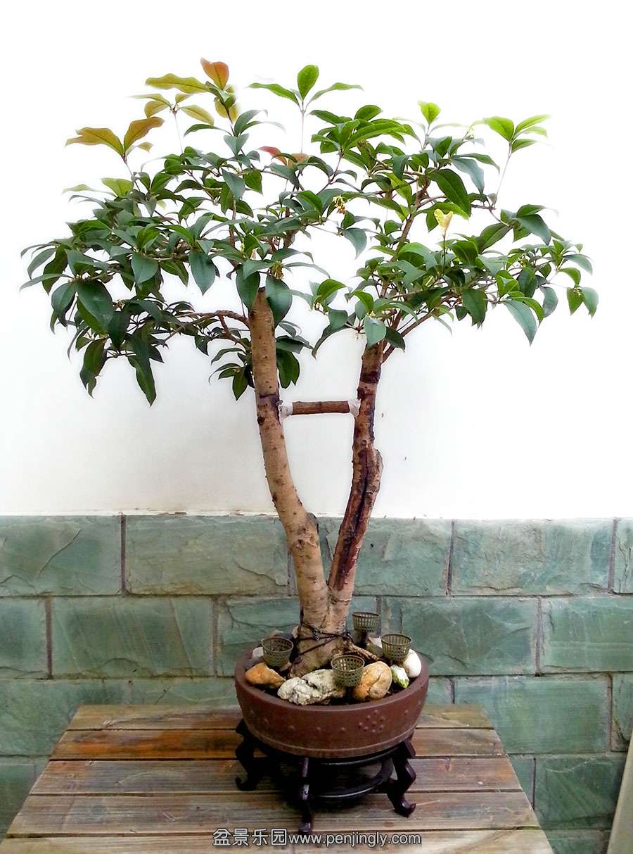 20141105_170803.jpg