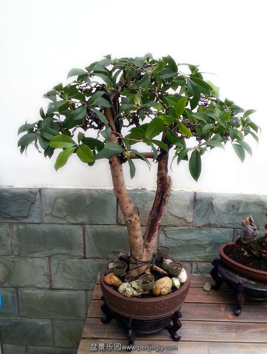 20141122_165304.jpg