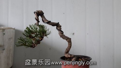 20141128_141105.jpg