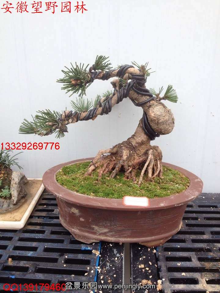 C7CB6717266D0AC0ABE8FCB2E68E8847.jpg