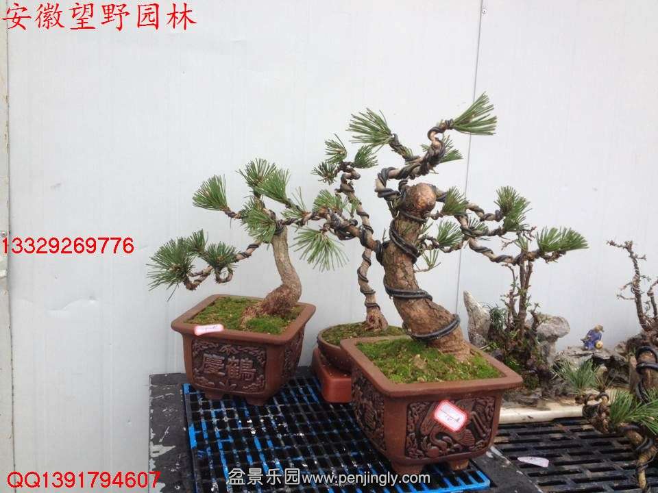 EDF153B03AF04375B5B6D3DAAFC2AEE8.jpg