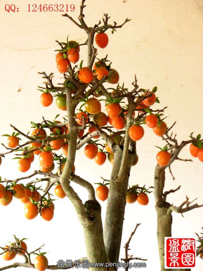 IMG_0546_.jpg