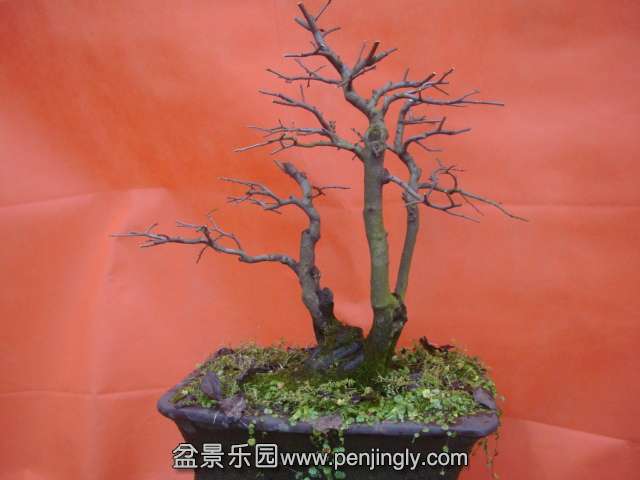 DSC05909.JPG