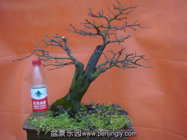 DSC05916.JPG