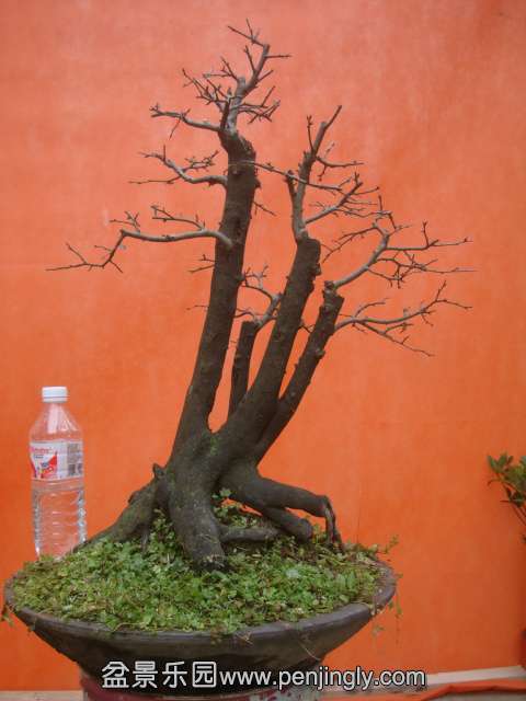 DSC05942.JPG