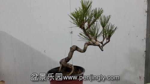 20141130_191711.jpg