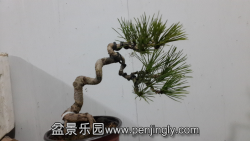 20141130_194134.jpg