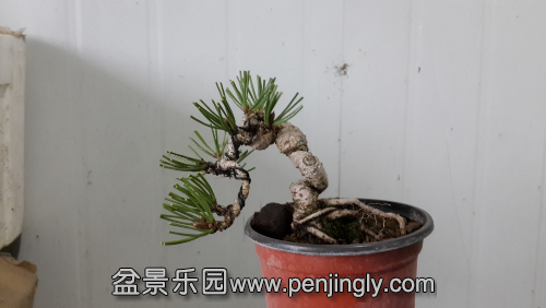 20141128_153109.jpg
