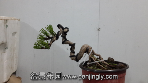 20141130_200710.jpg