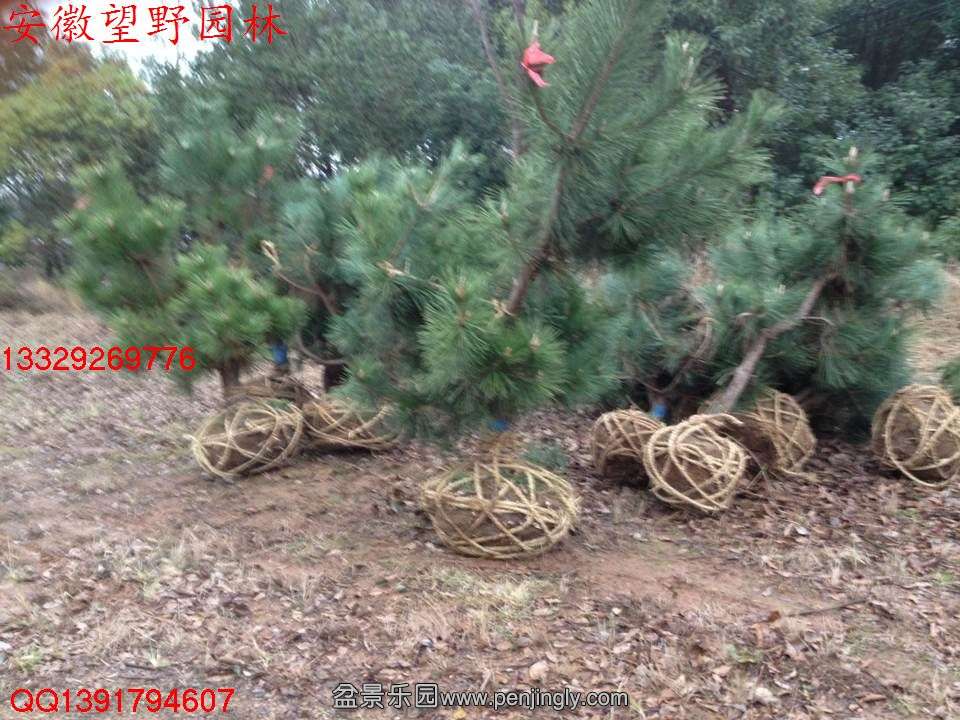 99CC09ECB9318405607302AD266801EF.jpg