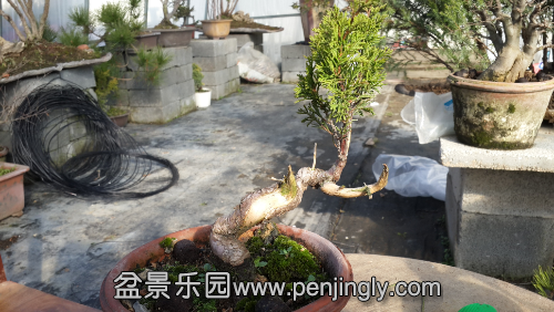 20141201_100357.jpg