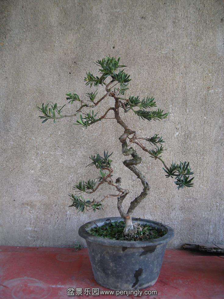 Ƭ 16417.jpg
