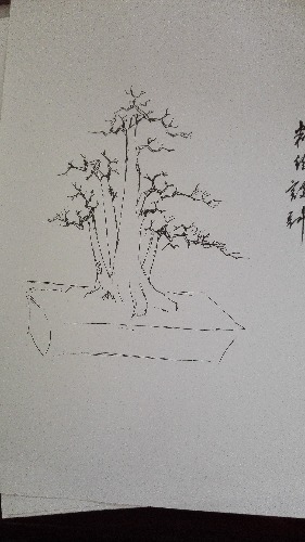 1417569304142.jpg