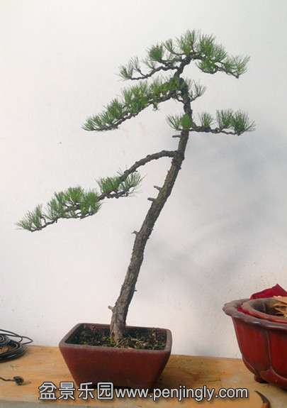 QQͼƬ20141203182007.jpg