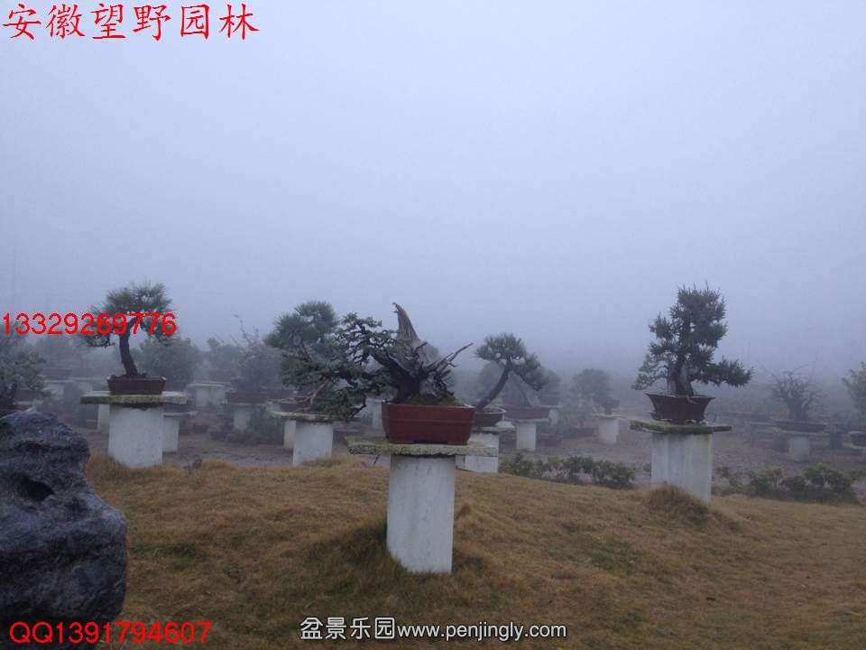 546CFB66C8A74DF71BA62C2884D9E9D4.jpg