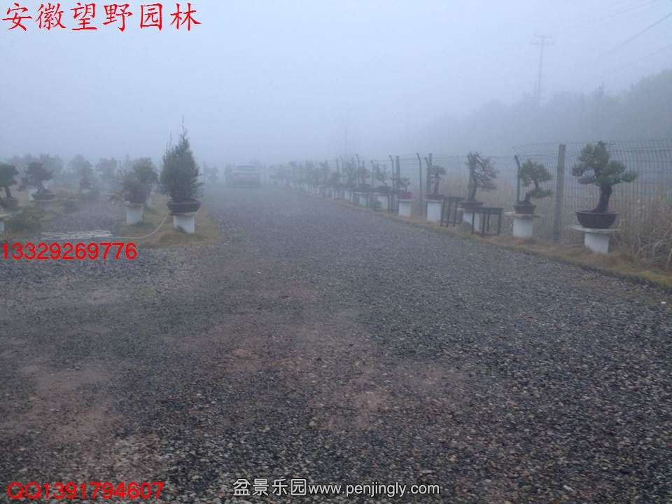CAC95080D2B100A8617A6570F7FABA1F.jpg