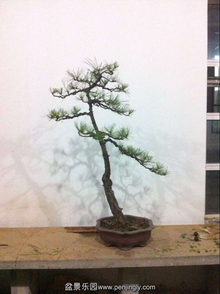 QQͼƬ20141204175515.jpg