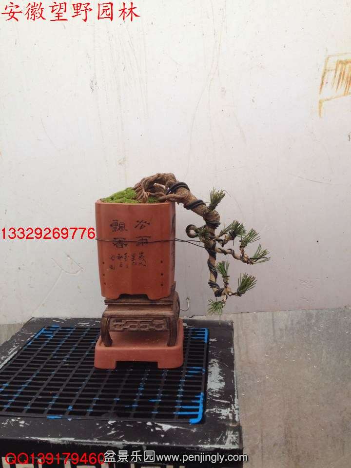 75569B9671CFA738400A2DD066E1FF80.jpg