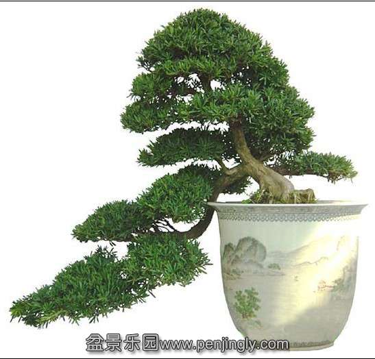 QQͼƬ20131204232207.jpg